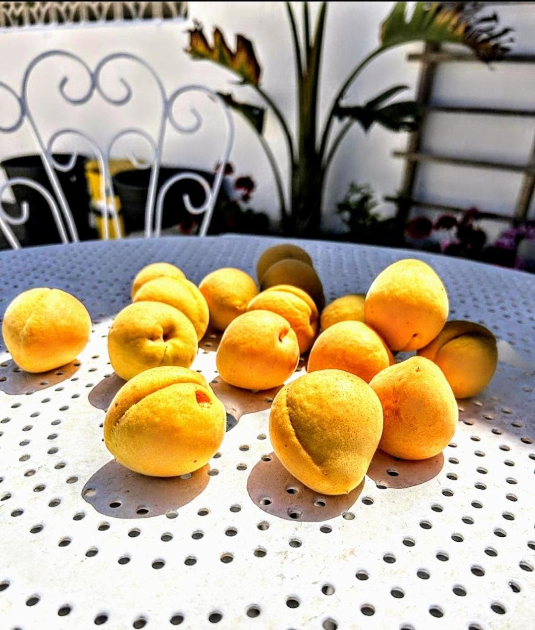 Casa Dei Frutti Di Ostuni Daire Dış mekan fotoğraf